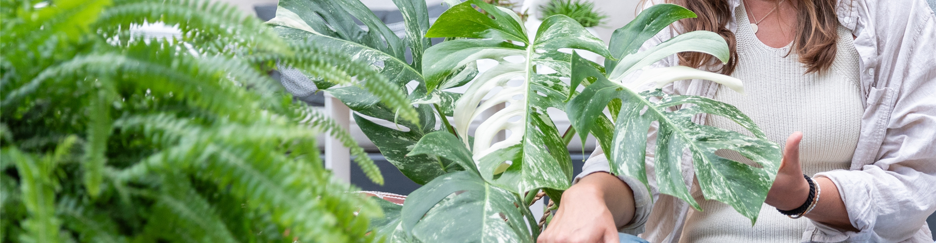 Gartenambiente - Frau mit Zimmerpflanzen
