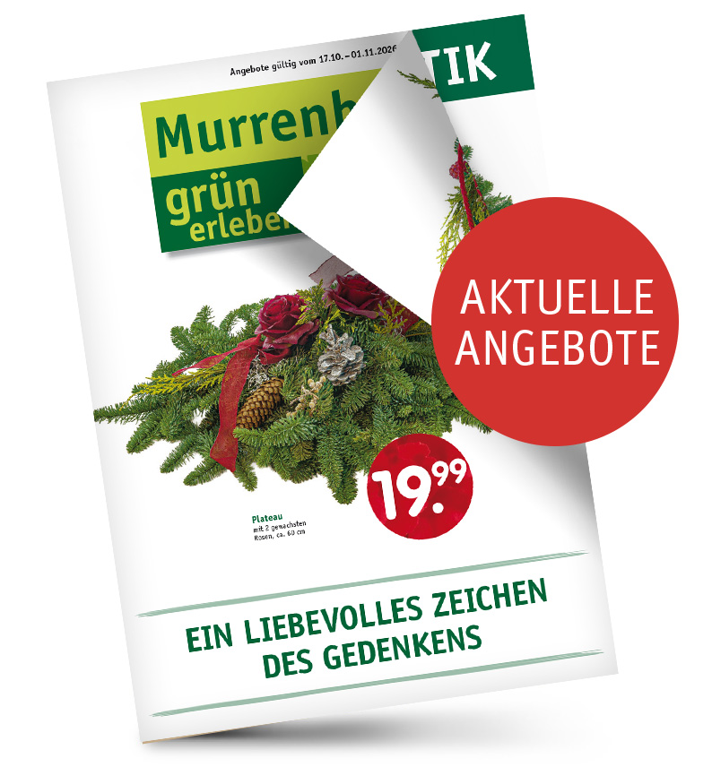 Teaser-Murrenhoff-Beilage-Okt2026.jpg Teaser-Murrenhoff-Beilage-Okt2026.jpg