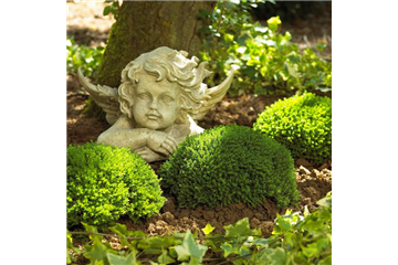 GRABGESTALTUNG! GRABGESTALTUNG!