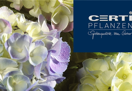 MARKENSHOP "CERTI" MARKENSHOP "CERTI"