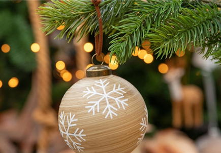 Weihnachtsbaum & mehr