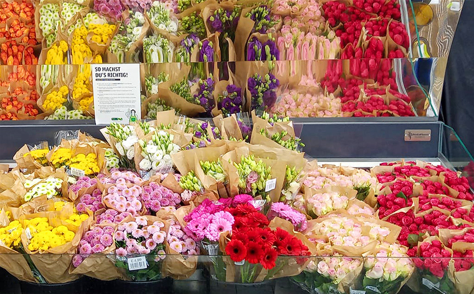FRISCHE SCHNITTBLUMEN - BEI MURRENHOFF GRÜN ERLEBEN