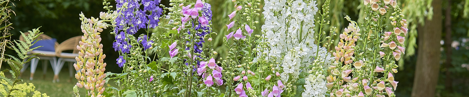 SONNENGARTEN! 