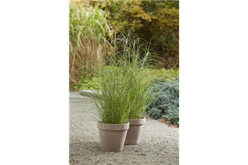 DER HERBST STEHT VOR DER TÜR! 