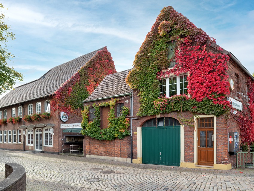 Freckenhorst-2.jpg