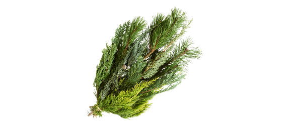 ADVENT, ADVENT – EIN KERZLEIN BRENNT! ADVENT, ADVENT – EIN KERZLEIN BRENNT!