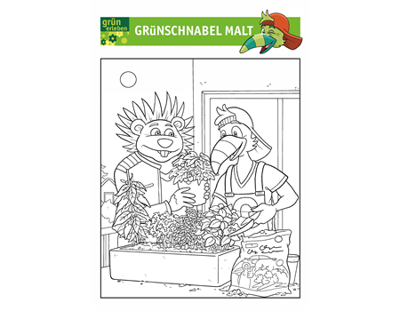 Grünschnabel Vorlage 2025-3 Grünschnabel Vorlage 2025-3