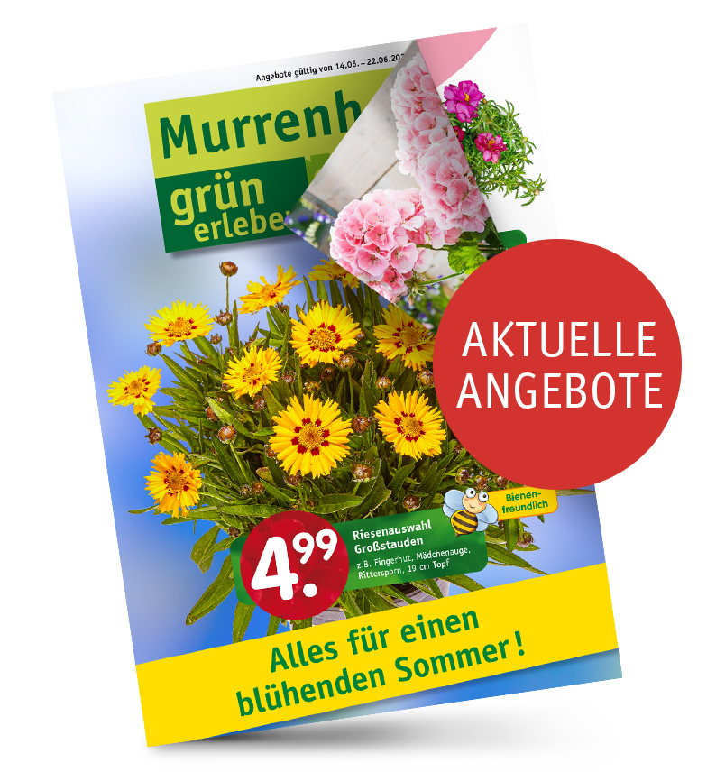 teaser_Beilage_Juni2025.jpg