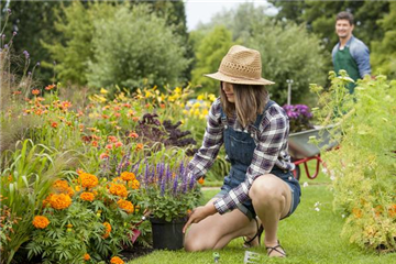 JETZT ZUM SPATEN GREIFEN