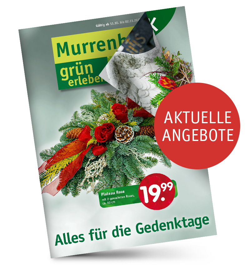 Murrenhoff-Beilage-Grabgestecke.jpg Murrenhoff-Beilage-Grabgestecke.jpg